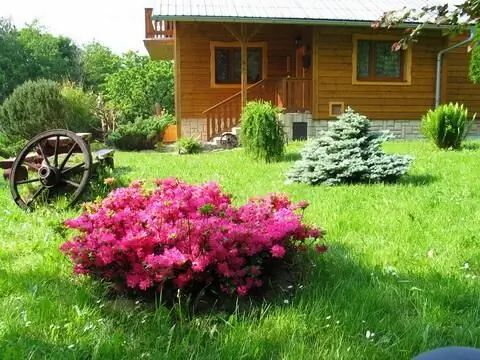 Zahrada penzionu s kvetoucími keři a dřevěným kolem