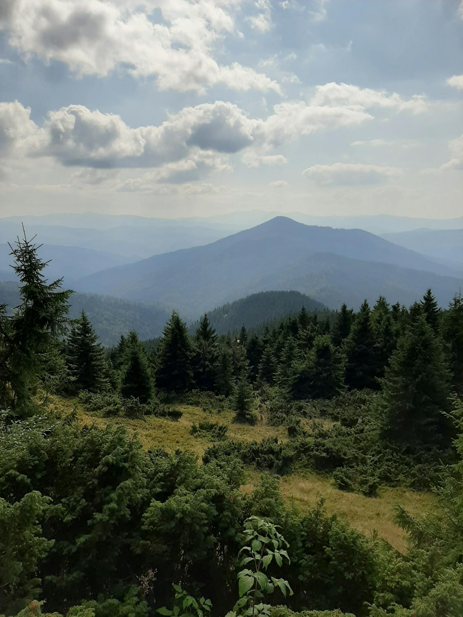 Karpatská krajina s bujnou zelení v okolí Pusteven